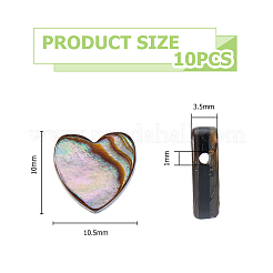 10 Stück natürliche Abalone-Muschel/Paua-Muschelperlen&nbsp;SSHEL-FI0001-05