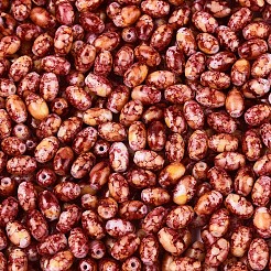 Spray bemalte Glasperlen&nbsp;SEED-T007-14B