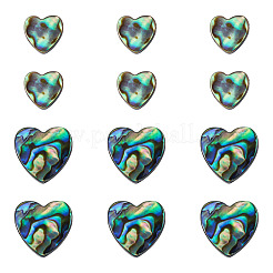 12pcs 2 Arten natürliche Abalone-Muschel / Paua-Muschelperlen&nbsp;SHEL-TA0001-41