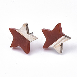 Clous d'oreilles en résine et bois&nbsp;EJEW-N017-001A-C04