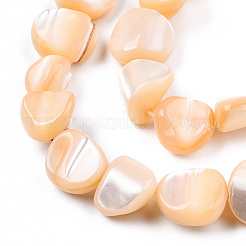 Fili di perle di conchiglia trochid naturale / trochus&nbsp;SSHEL-N032-49-A07