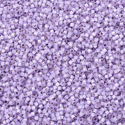 Perline miyuki delica&nbsp;X-SEED-J020-DB0629