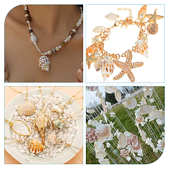 5 Stil Muschelperlen&nbsp;SHEL-FH0001-22