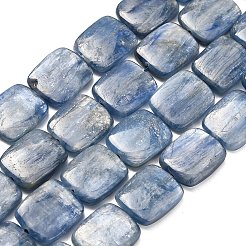 Natürliche kyanite Perlen Stränge&nbsp;G-H335-I01-10x12mm