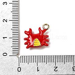 Ciondoli di smalto in lega zinco&nbsp;X-FIND-I044-17B-1