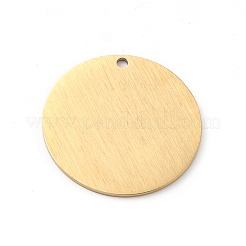 Pendentifs en acier inoxydable 304 avec placage ionique (IP)&nbsp;STAS-F271-02E-G