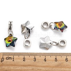 Tibetanische Legierung großes Loch europäische baumelnde Charms&nbsp;X-PALLOY-JF00040
