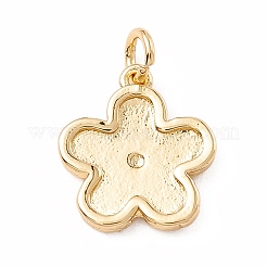 Pendentifs d'émail en laiton &nbsp;KK-P217-02G-04