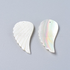 Pendentifs en coquillage / coquille de trochus naturel&nbsp;SSHEL-L016-007D