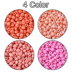 36g 4 Farben Backlack Glas Saatperlen&nbsp;SEED-FS0001-20B