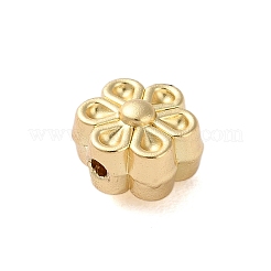 Cremagliera branelli della lega di placcatura&nbsp;FIND-C062-06A-MG