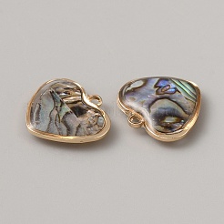 Breloques de coquille de paua pavés en laiton&nbsp;FIND-WH0427-70A-02LG