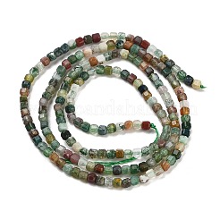 Naturali indian agata fili di perline&nbsp;G-H042-B22-01