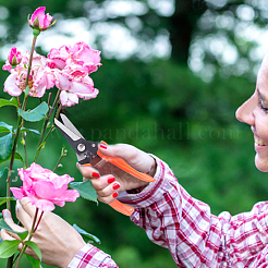 Gartenschere aus Stahl&nbsp;TOOL-WH0019-83