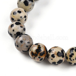 Perles de jaspe zèbre naturelles&nbsp;BJEW-T022-04D
