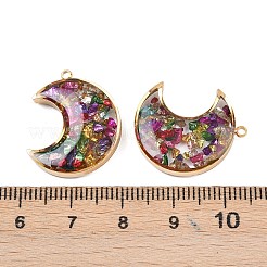 Pendentifs en acier inoxydable 304&nbsp;STAS-C146-03G-03
