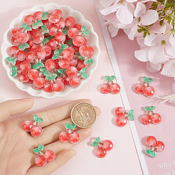 60 Stück opake Harz-Cabochons&nbsp;DIY-SC0028-30B