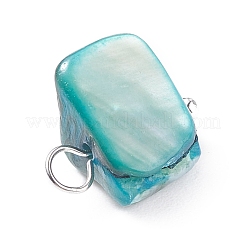 Charmes de coquille d'eau douce naturelle&nbsp;PALLOY-JF01352-01