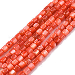 Natural Freshwater Shell Beads Strands, Dyed, Column, Orange Red, 3.5x3.5mm, Hole: 0.8mm, about 110~113pcs/strand, 14.69 inch~15.08 inch(37.3~38.3cm)