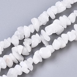 Natürlichen weißen Mondstein Perlen Stränge, Chip, 5~15x3~10x1~7 mm, Bohrung: 1 mm, ca. 240~270 Stk. / Strang, 33.07~34.64 Zoll (84~88 cm)