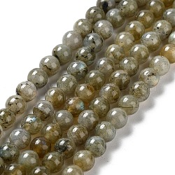 Natur Labradorit Perlen Stränge, Runde, 6 mm, Bohrung: 1.2 mm, ca. 66 Stk. / Strang, 15.94 Zoll (40.5 cm)