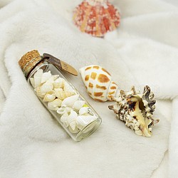 Bouteilles de verre qui souhaitent, avec coquille, poudre noctilucent et papier souhaitant intérieur, floral blanc, 77x27mm