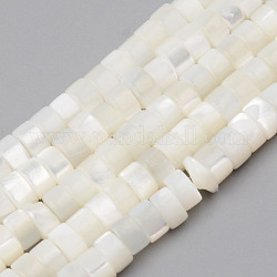 Fili di perle di conchiglia trochid naturale / trochus, rotondo e piatto, bianco, 4x2mm, Foro: 1 mm, circa 163pcs/filo, 14.57 pollice (37 cm)