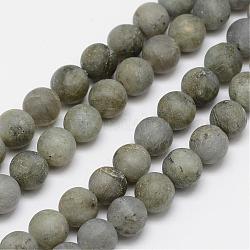 Natural Labradorite Frosted Bead Strands, Round, 8mm, Hole: 1mm, about 49pcs/strand, 15.4 inch