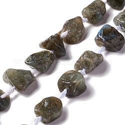 Perline labradorite naturale fili, pepite, 16~36.8x13~28.5x8~21mm, Foro: 2~3.8 mm, circa 13pcs/filo, 16.26~17.52'' (41.3~44.5 cm)