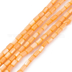 Fili di perline tinti in conchiglia naturale d'acqua dolce, colonna, arancione, 4.8x3mm, Foro: 0.8 mm, circa 78pcs/filo, 14.96'' (38 cm)