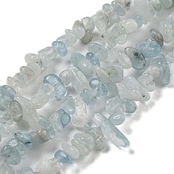 Natürliche Aquamarin Perlen Stränge, Chip, 1.5~5x3~13x2~8 mm, Bohrung: 0.6 mm, 30.94~31.97'' (78.6~81.2 cm)