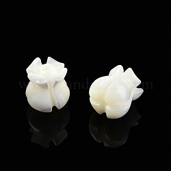 Concha de troquido natural / cuentas de concha de troco, flor, blanco, 7.5~8x7x7mm, agujero: 1 mm