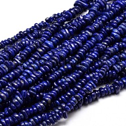 Lapis lazuli perle naturali di chip trefoli, 4~14x4~12mm, Foro: 1 mm, circa 15.3 pollice ~ 16.1 pollici