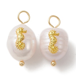 D'acqua dolce naturale ciondoli perla, ciondoli ovali con fetta di cavalluccio marino in lega, oro, 23~24.5x9~10x9.5~11mm, Foro: 2.5~3 mm