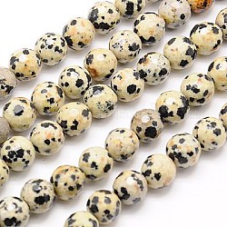 Natural Dalmation Jasper Beads Strands, Faceted, Round, Navajo White, 6mm, Hole: 1mm, about 63pcs/strand, 15.55 inch