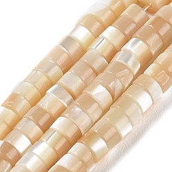 Brins de perles de coquillages naturels de troca, Plat rond / disque, perles heishi, facette, navajo blanc, 3.5~4x2~2.5mm, Trou: 0.8mm, Environ 171~173 pcs/chapelet, 16.14~16.38'' (41~41.6 cm)
