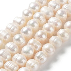 Fili di perle di perle d'acqua dolce coltivate naturali, patata, grado A +, bianco antico, 10~12.5x9~10mm, Foro: 0.6 mm, circa 38pcs/filo, 14.69'' (37.3 cm)
