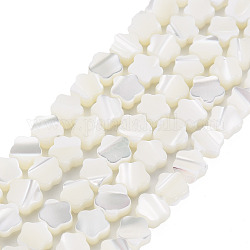 Fili di perle di conchiglia trochid naturale / trochus, fiore, bianco, 6x6x2mm, Foro: 0.8 mm, circa 70pcs/filo, 15.55 pollice ~ 15.94 pollici (39.5 cm ~ 40.5 cm)