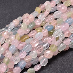 Morganite naturelle perles de puce brins, 6~9x5~7mm, Trou: 1mm, environ 15.5 pouce
