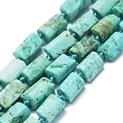 Fili di perle naturali di turchese peruviano (diaspro), pepite, stile semiopaco, 6~12x6~7mm, Foro: 0.8 mm, circa 26~35pcs/filo, 15.55''~16.14'' (39.5~41 cm)
