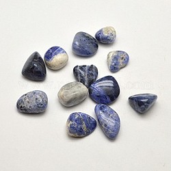 Natural Sodalite Beads, No Hole/Undrilled, Chip, Midnight Blue, 15~24x13~18x8~13mm