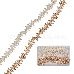 Chapelets de perles en coquille de spirale naturelle, couleur mixte, 2 brins / boîte