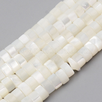 Fili di perle di conchiglia trochid naturale / trochus&nbsp;SHEL-R049-024-1