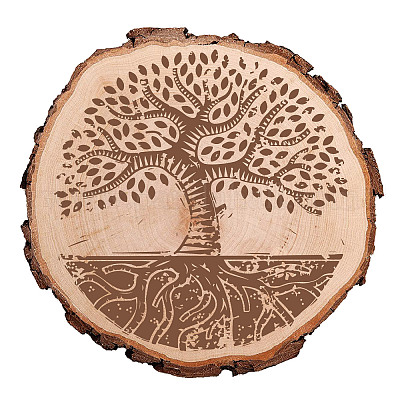 Round Wood Discs For Crafts, Pyrography, Painting And Decorations 