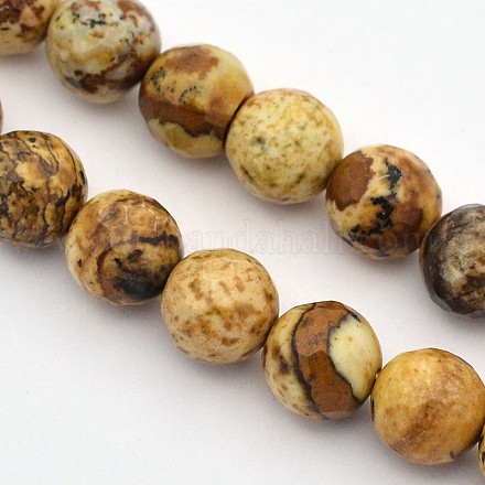 Faceted Round Natural Picture Jasper Beads Strands G-E302-089-6mm-1