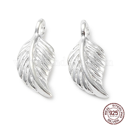 925 Sterling Silver Charms STER-E069-01S-1