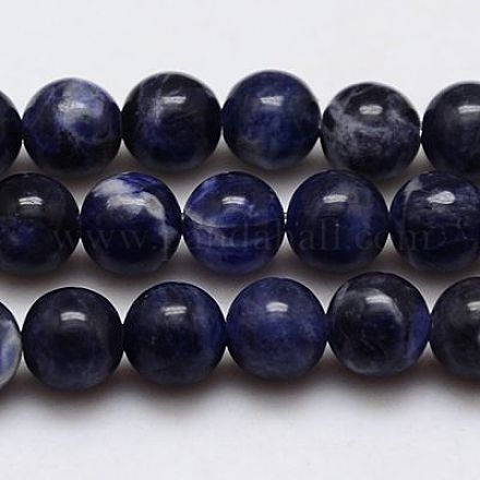 Natural Sodalite Beads Strands X-G-G448-12mm-25-1