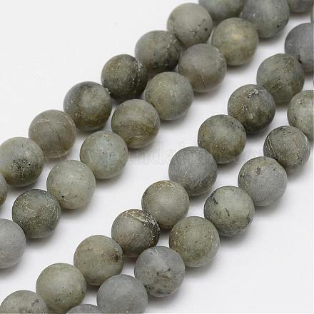 Labradorite naturelle brins de perles dépoli G-O155-04A-8mm-1