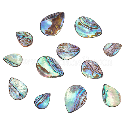 Hobbiesay 12 pièces 3 styles coquille d'ormeau naturelle/perles de coquille de paua SHEL-HY0001-02-1