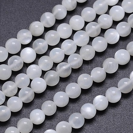 Brins de perles rondes en pierre de lune blanche naturelle G-M262-5mm-04-1